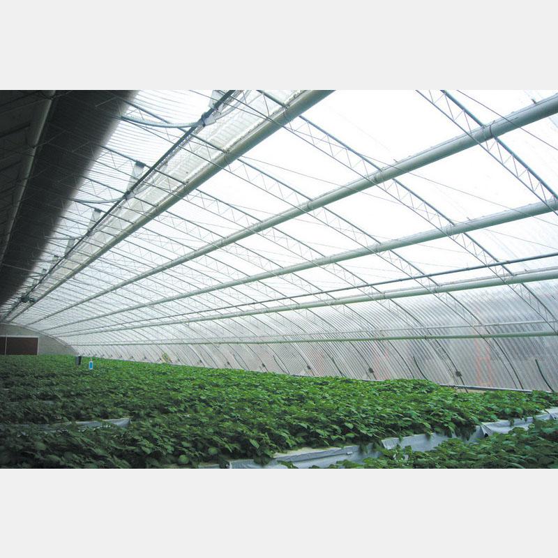 專業構筑，智慧生長 盛騰溫室引領蔬菜大棚現代化建造新風尚