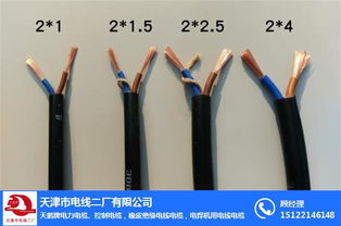 天津市電線二廠 護(hù)套線與控制電纜領(lǐng)域的專業(yè)品牌